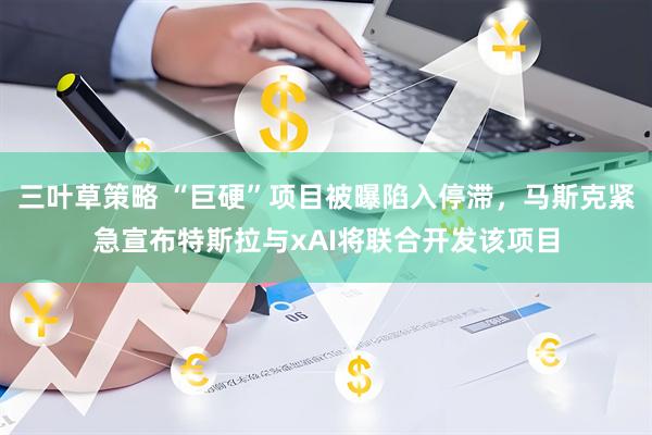 三叶草策略 “巨硬”项目被曝陷入停滞，马斯克紧急宣布特斯拉与xAI将联合开发该项目