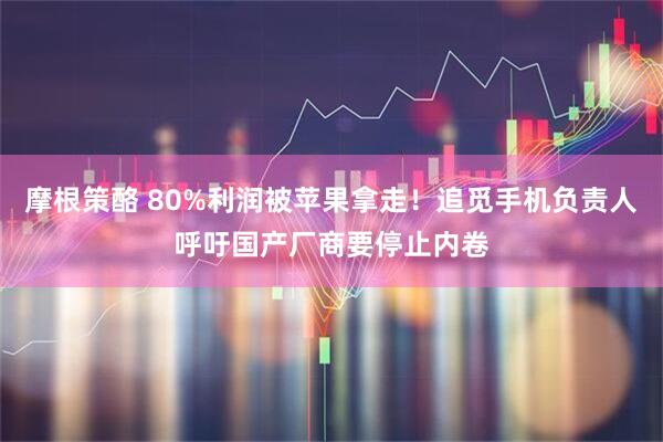 摩根策酪 80%利润被苹果拿走！追觅手机负责人呼吁国产厂商要停止内卷