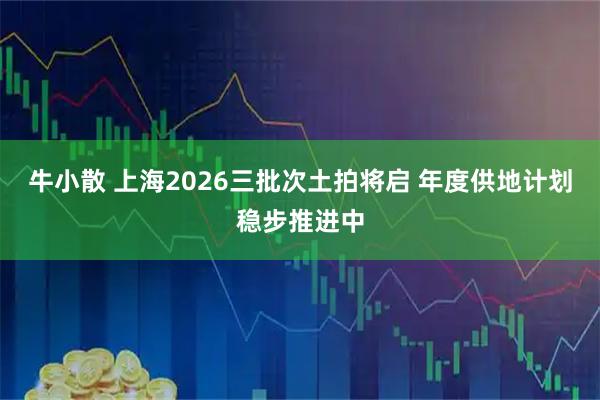 牛小散 上海2026三批次土拍将启 年度供地计划稳步推进中