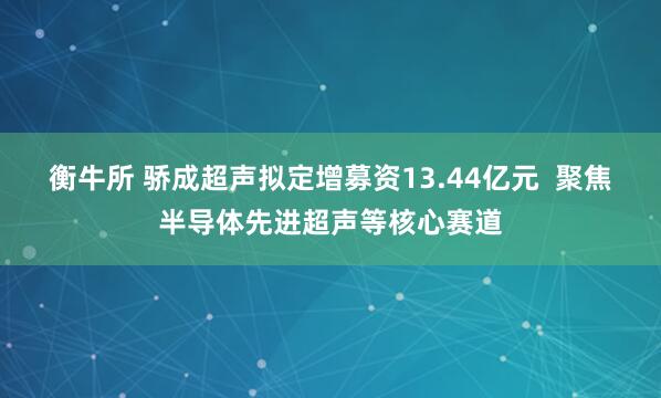 衡牛所 骄成超声拟定增募资13.44亿元  聚焦半导体先进超声等核心赛道