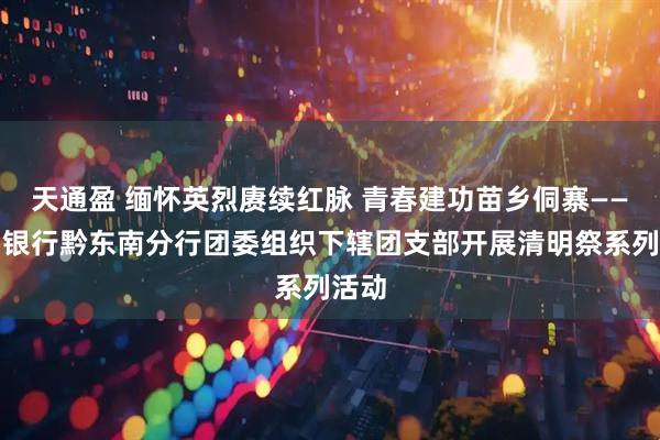 天通盈 缅怀英烈赓续红脉 青春建功苗乡侗寨——贵州银行黔东南分行团委组织下辖团支部开展清明祭系列活动