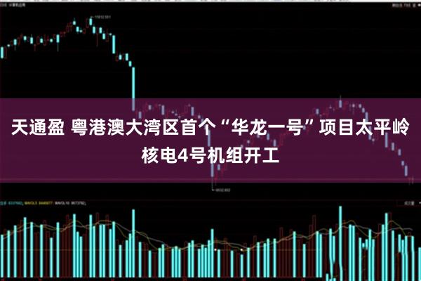 天通盈 粤港澳大湾区首个“华龙一号”项目太平岭核电4号机组开工