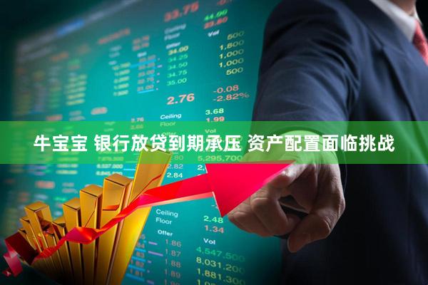 牛宝宝 银行放贷到期承压 资产配置面临挑战