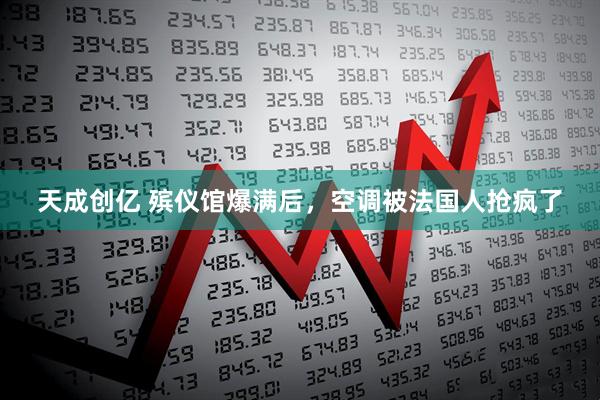 天成创亿 殡仪馆爆满后，空调被法国人抢疯了