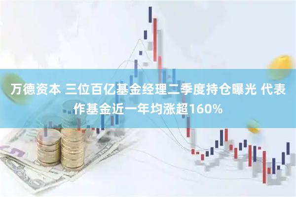 万德资本 三位百亿基金经理二季度持仓曝光 代表作基金近一年均涨超160%
