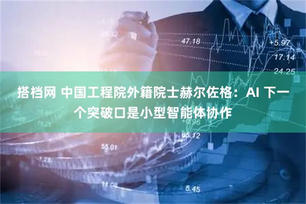 搭档网 中国工程院外籍院士赫尔佐格：AI 下一个突破口是小型智能体协作